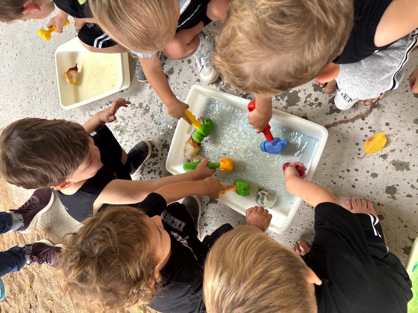 Adaptação acolhedora marca início das aulas no Kindergarten 2A da Unidade Oswaldo Cruz