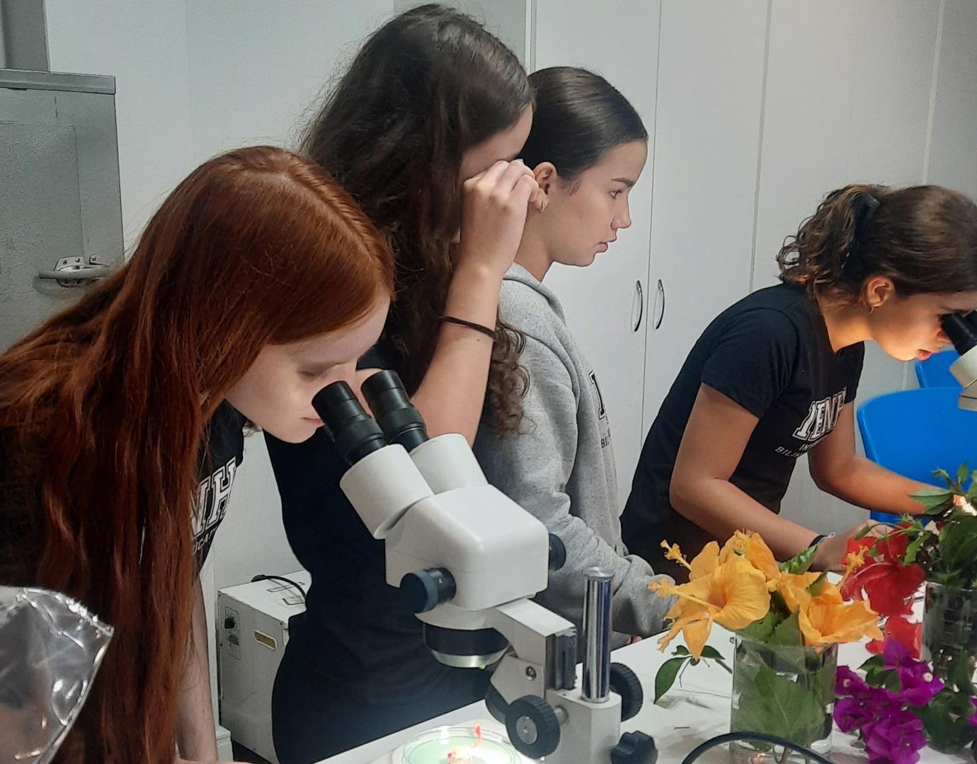 Alunos da Unidade Fundação Evangélica exploram a reprodução das angiospermas 