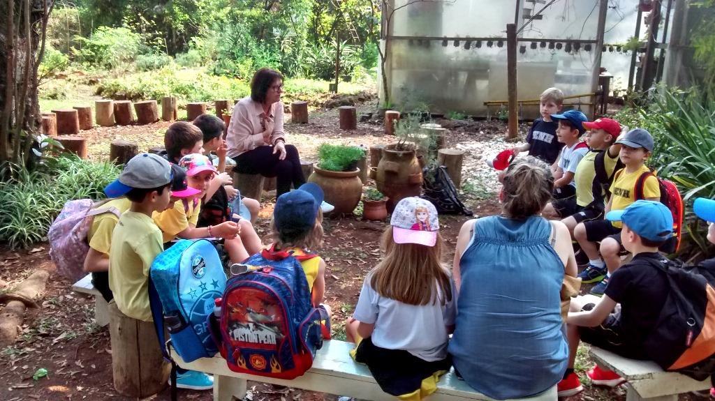 Conhecendo o fantástico mundo das abelhas no 1º ano C