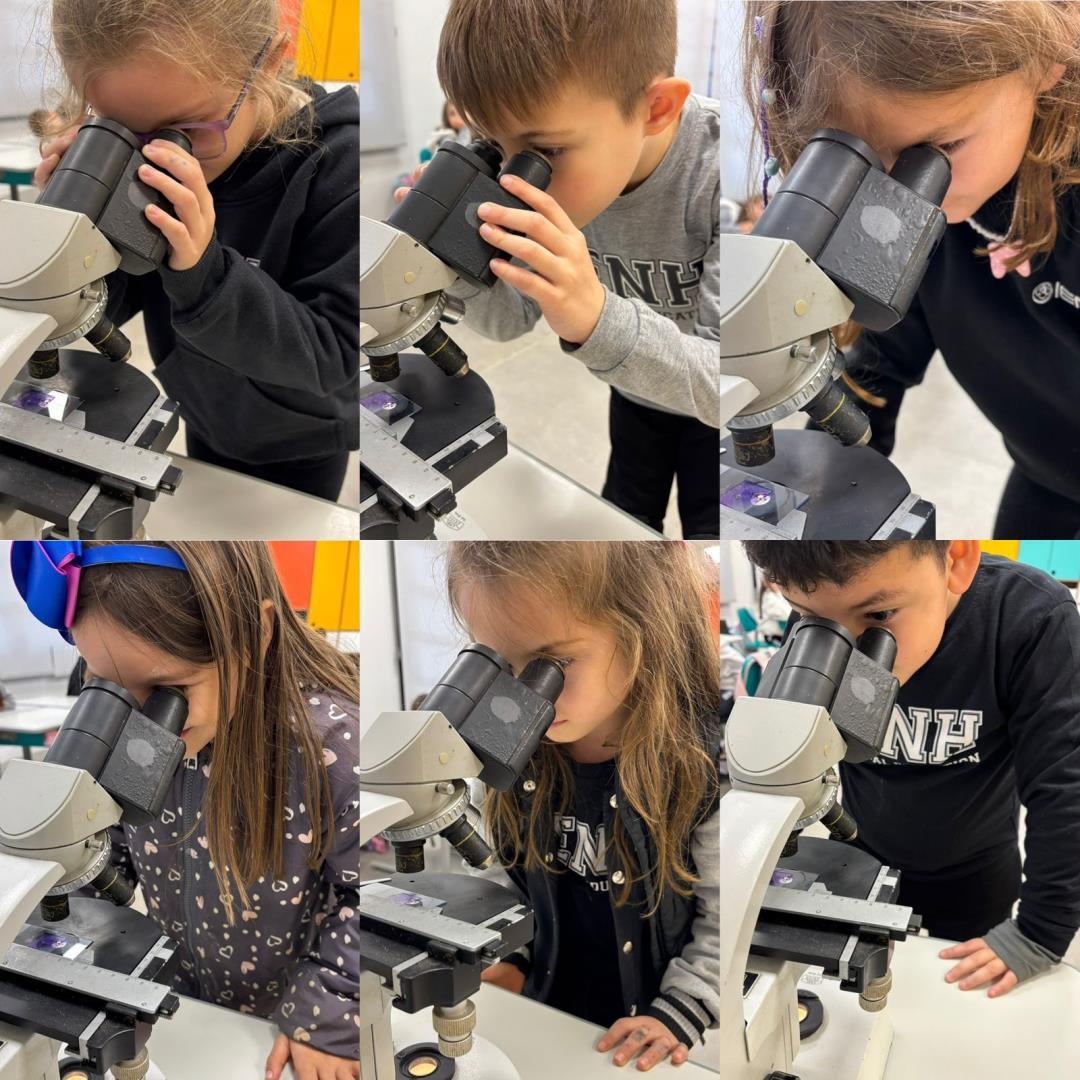 Estudantes do Year 1 da Unidade Oswaldo Cruz descobrem na prática a importância da higiene