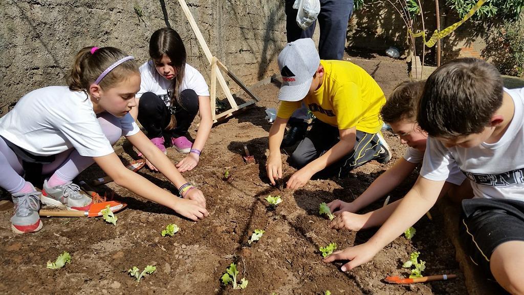 Horta escolar é construída colaborativamente por alunos, Professoras e Diretor da IENH