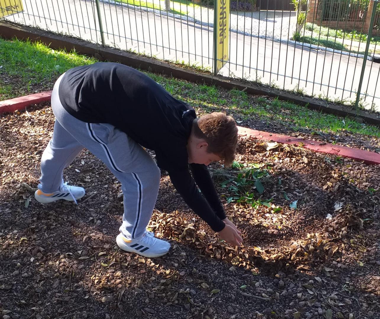 Land Art é tema de estudos e trabalhos realizados por alunos dos 8°s anos