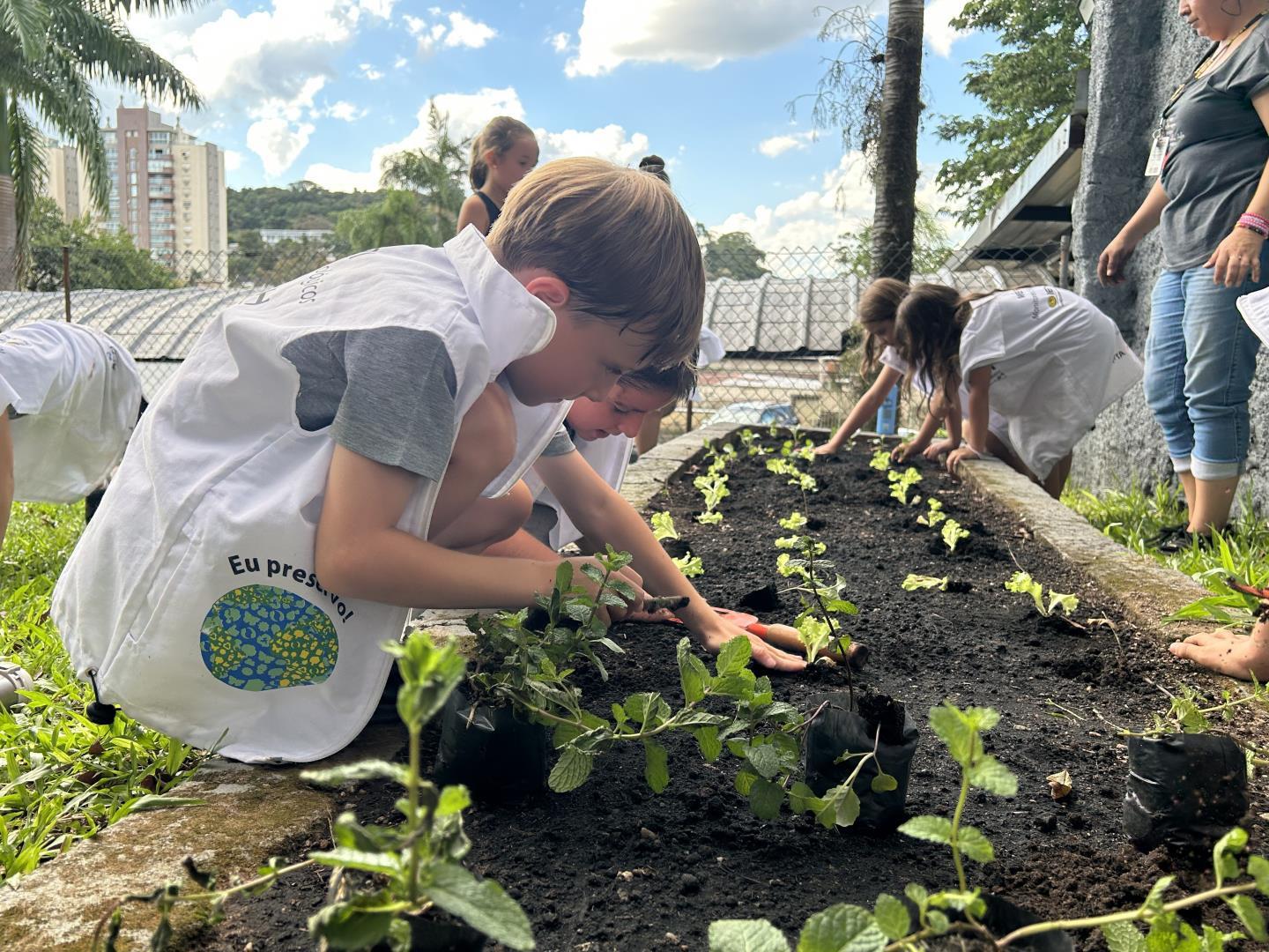 Monitores Ecológicos da Unidade Pindorama iniciam plantio de  mudas na horta comunitária