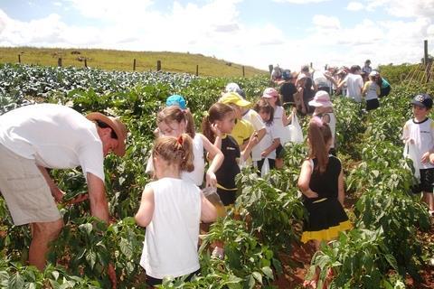 Passeio de Estudos a Dois Irmãos