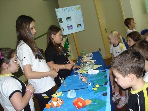 Projeto de Iniciação à Feira de Ciências e Idéias