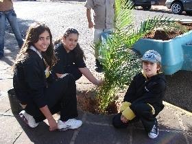 Unidade Pindorama comemora 175 anos com plantio de palmeiras