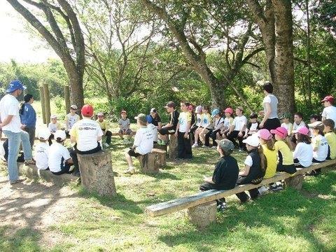 Observação e aprendizado sobre as plantas