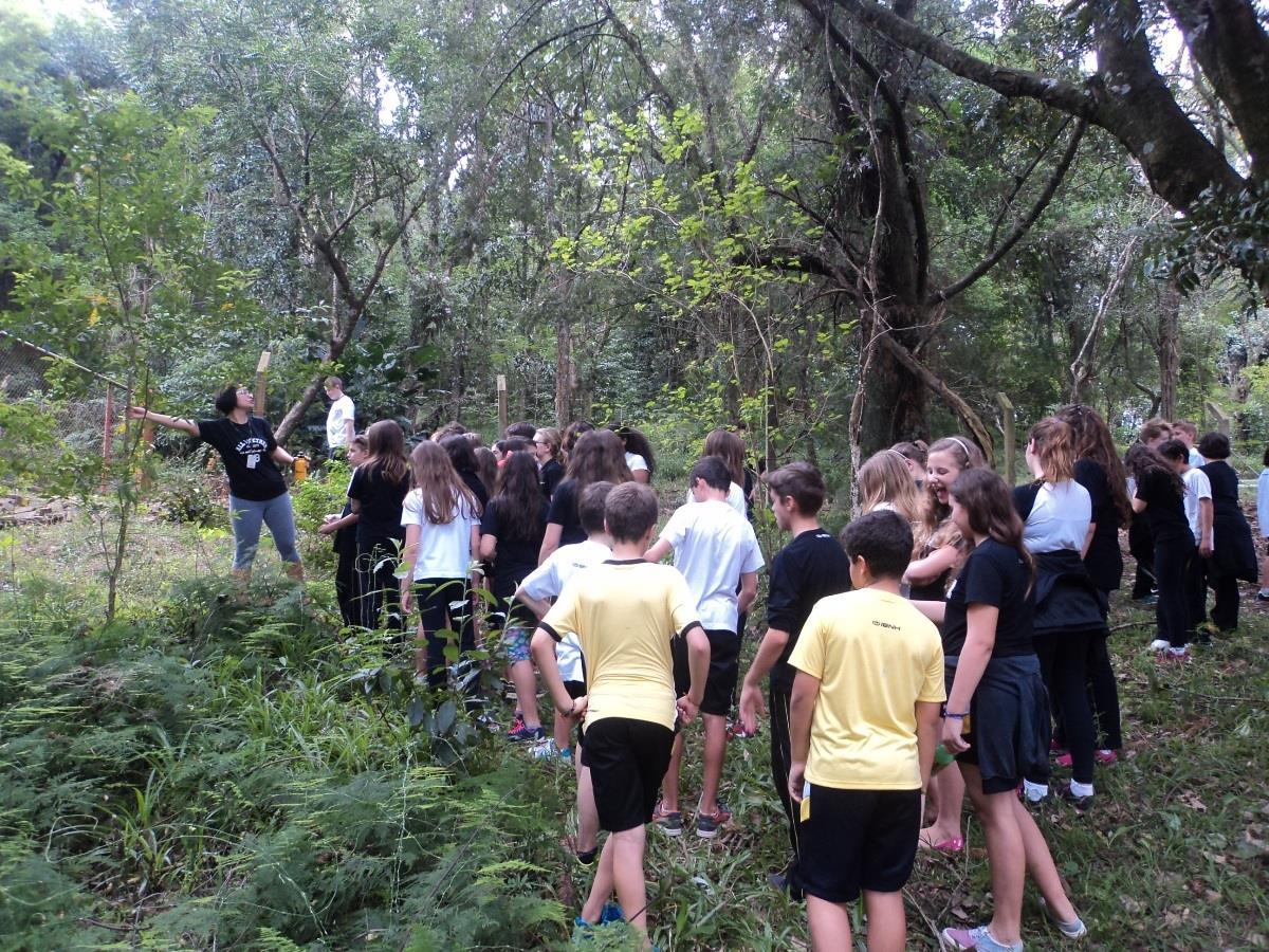 Alunos realizam atividades na Fundação Evangélica durante o Pinwaldo