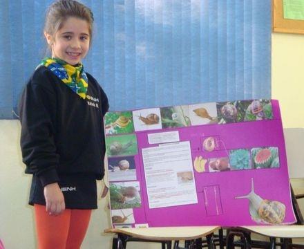 Lições sobre os animais em Projeto de Estudos