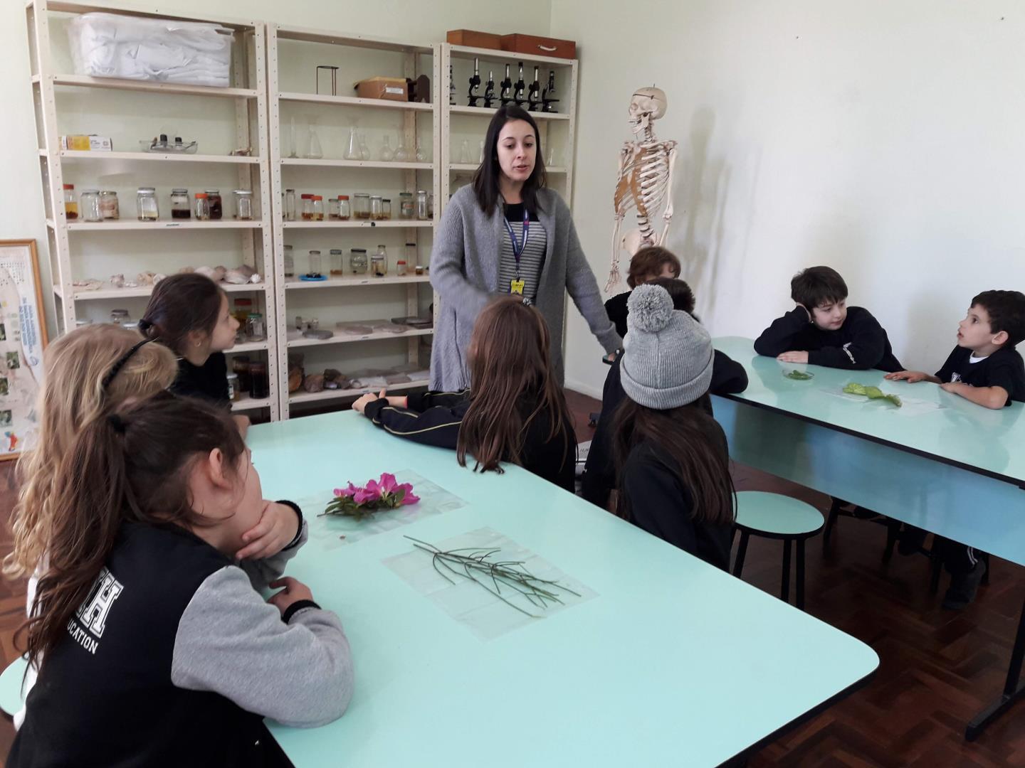 Turma da Unidade Pindorama se aproxima da natureza por meio de aula no laboratório de ciências