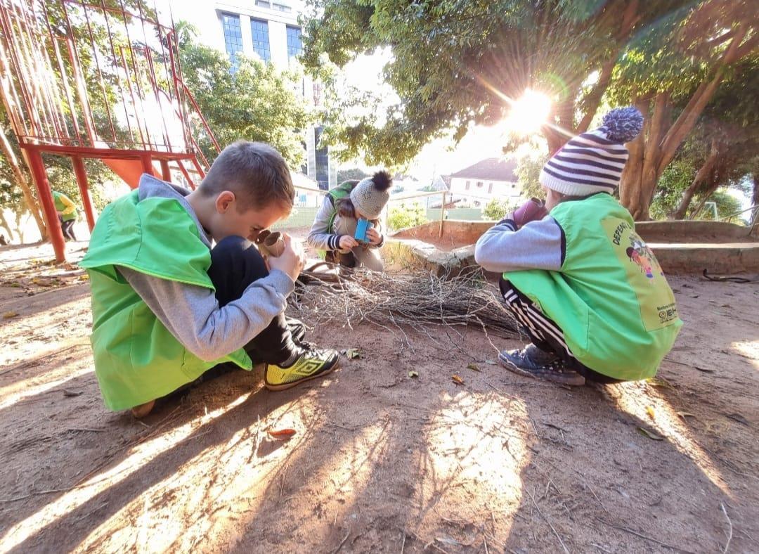 Unidades Pindorama e Oswaldo Cruz têm programação de Semana do  Meio Ambiente