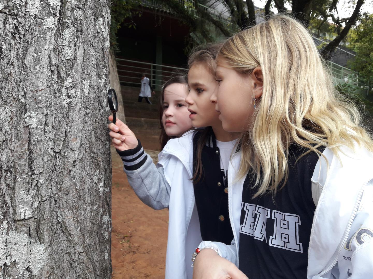 Investigação sobre formigas é realizada por alunos dos 2ºs anos da Unidade Pindorama