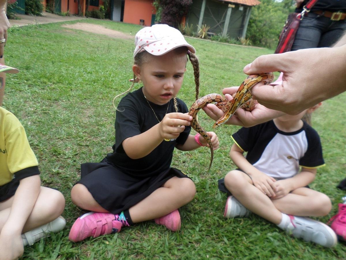 Passeio de estudos oportuniza aprendizagens e vivências com a natureza